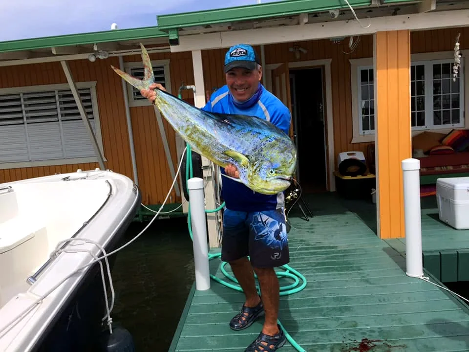 Offshore catch after a day fishing from La Parguera
