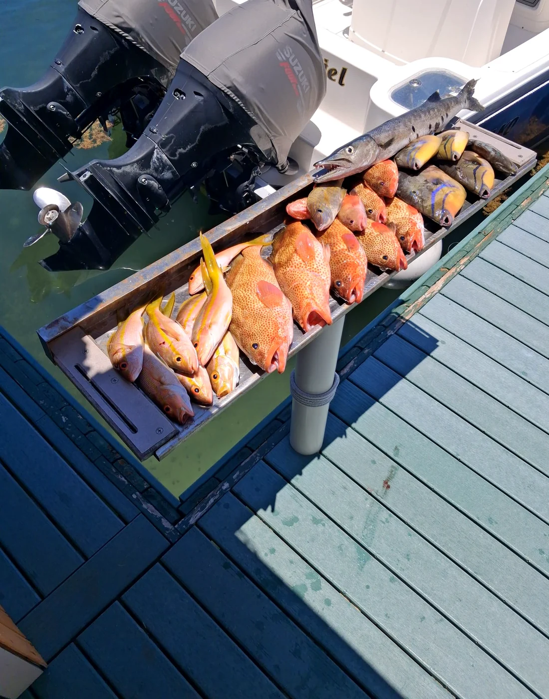 A mixed catch laid out after the trip